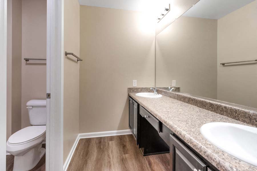 a bathroom with a sink and a toilet and a mirror