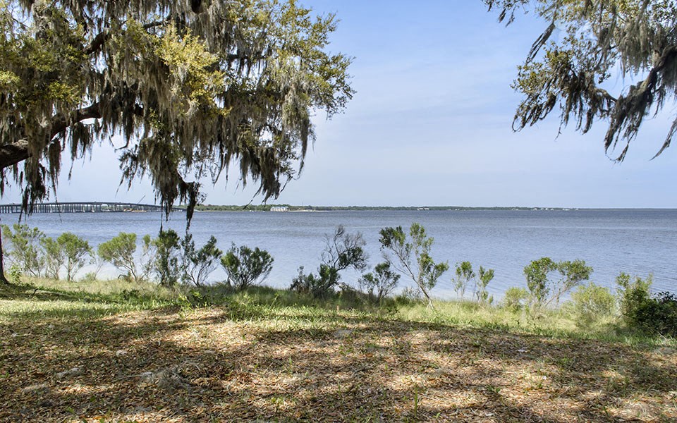 a view of the water under a tree