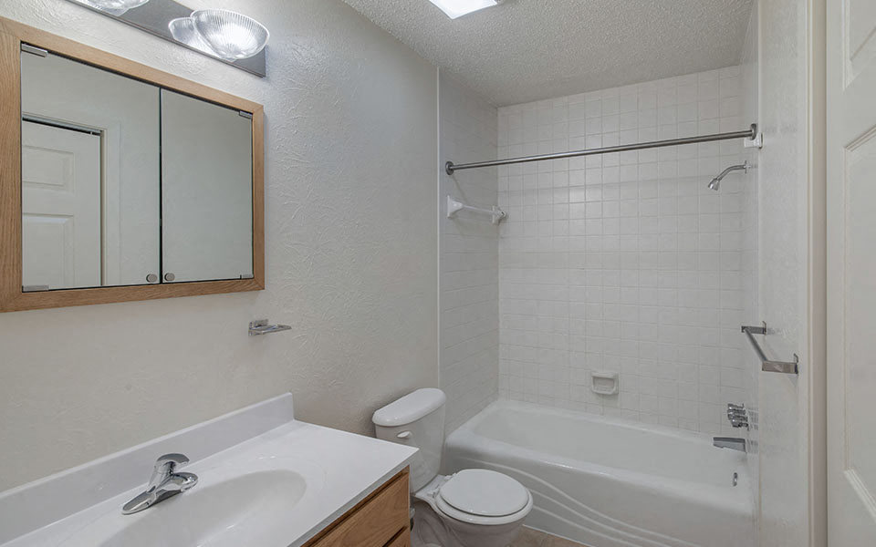a bathroom with a sink toilet and a bath tub