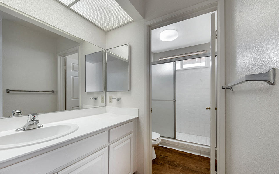 a bathroom with a sink and a shower and a mirror