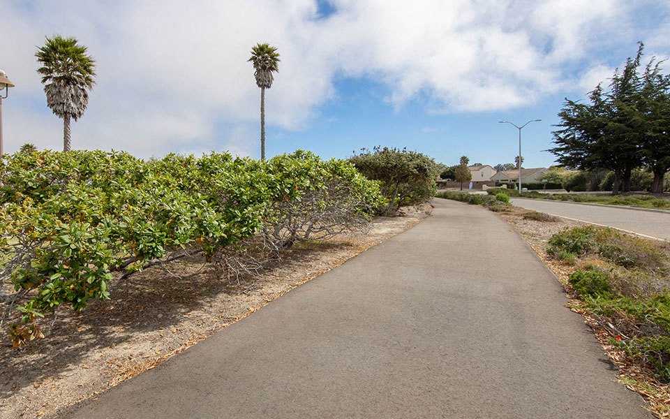 a street with bushes and palm trees on the side of a road