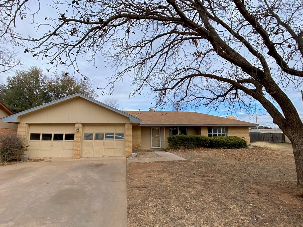 a house with a tree in front of it