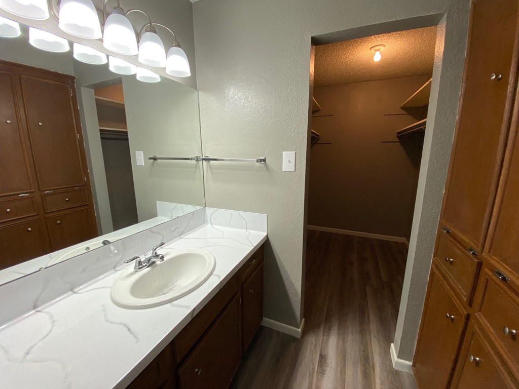 a bathroom with a sink and a mirror and a closet
