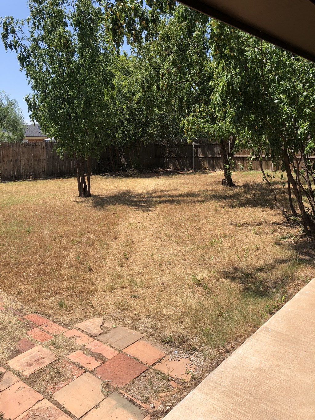 a backyard with grass and trees and a sidewalk