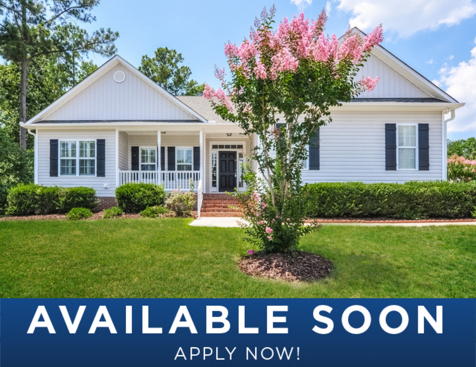 a white house with a flowering tree in front of it