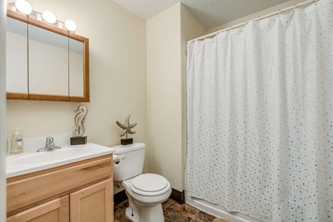 a bathroom with a shower and a toilet and a sink