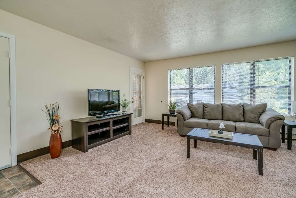 a living room with a couch and a television