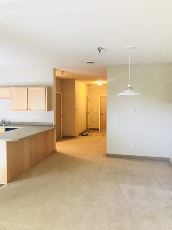 2860 10th Ave N 2-3 Beds Apartment for Rent - Photo Gallery 3