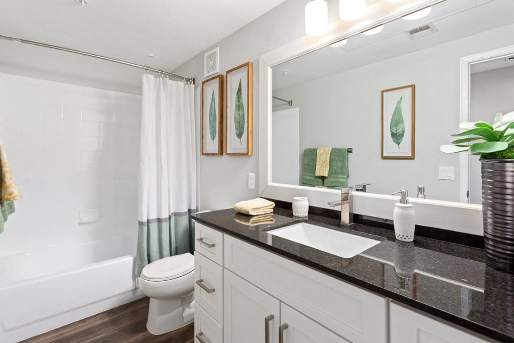 a bathroom with a sink and a toilet