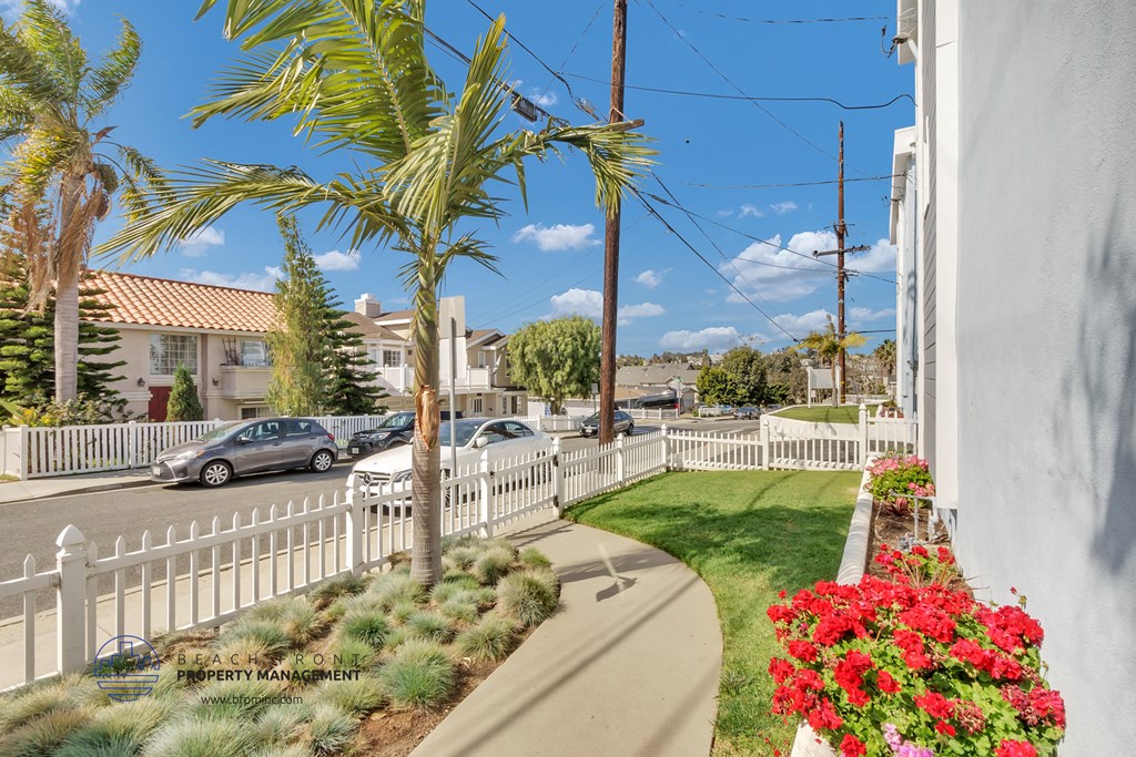 a street with palm trees and a white fence in front of a house