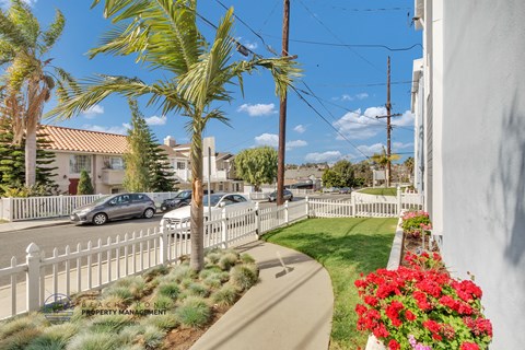 a street with palm trees and a white fence in front of a house