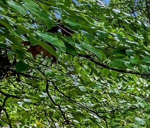 2661 Oxbow Way Sw Marietta Ga 30008 Apartments 2661 Oxbow Way Sw Marietta Ga Rentcafe