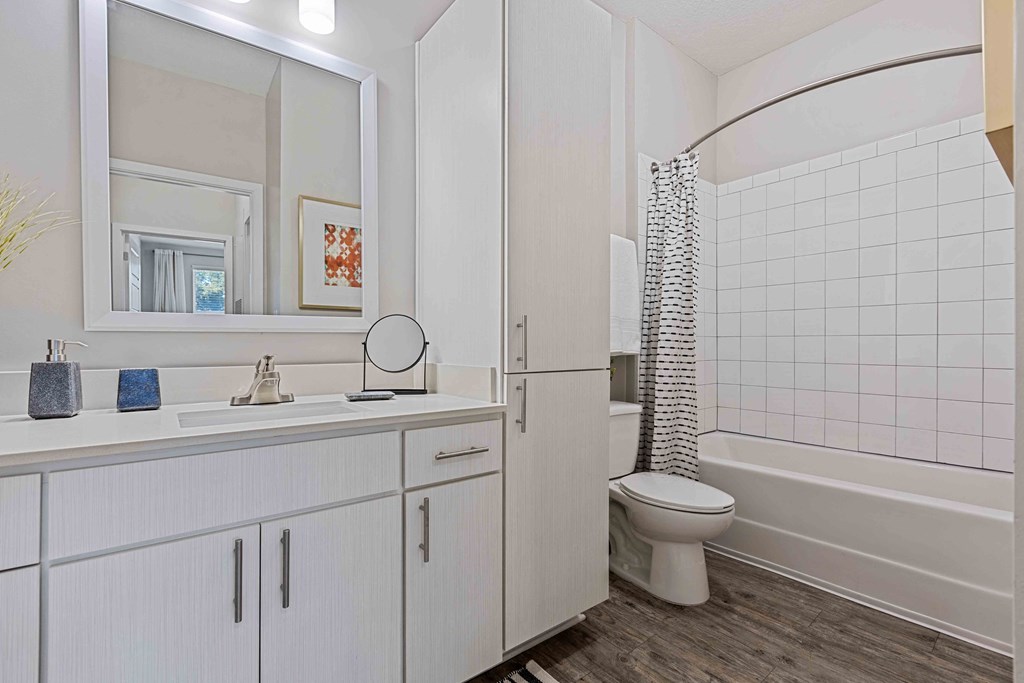 a bathroom with a sink and a toilet and a shower