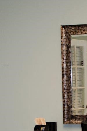 newly renovated pet-friendly pet friendly apartments now leasing charlotte