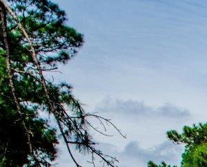 Bella Vista Apartments 2442 Chartres Dr Gastonia Nc Rentcafe