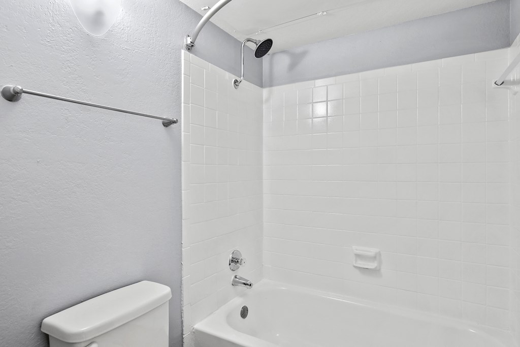 a bathroom with a shower and a toilet and a sink