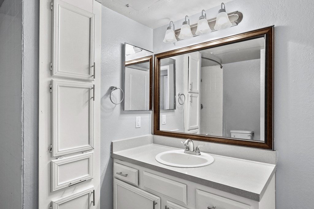 a bathroom with a sink and a mirror