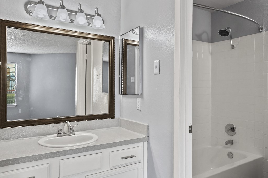 a bathroom with a sink and a mirror