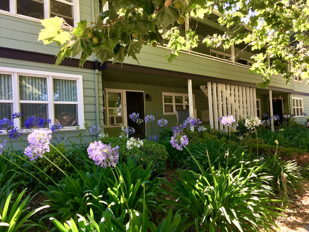 First Street Manor Apartments Prodesse Property Group530 North 1st StreetSan Jose, CA 95112