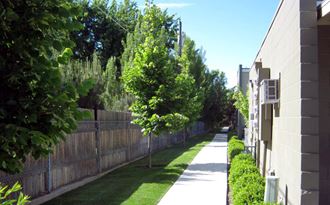 a yard with a fence and trees and a sidewalk