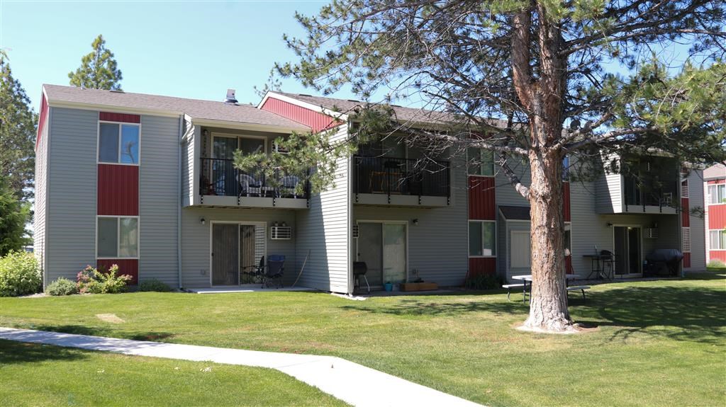 the exterior of an apartment building with grass and a tree