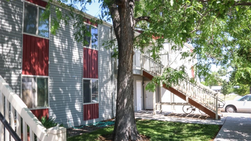 an apartment building with a tree in front of it