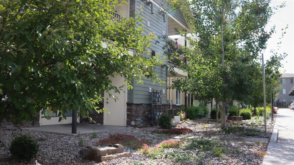 a house with trees and a sidewalk in front of it