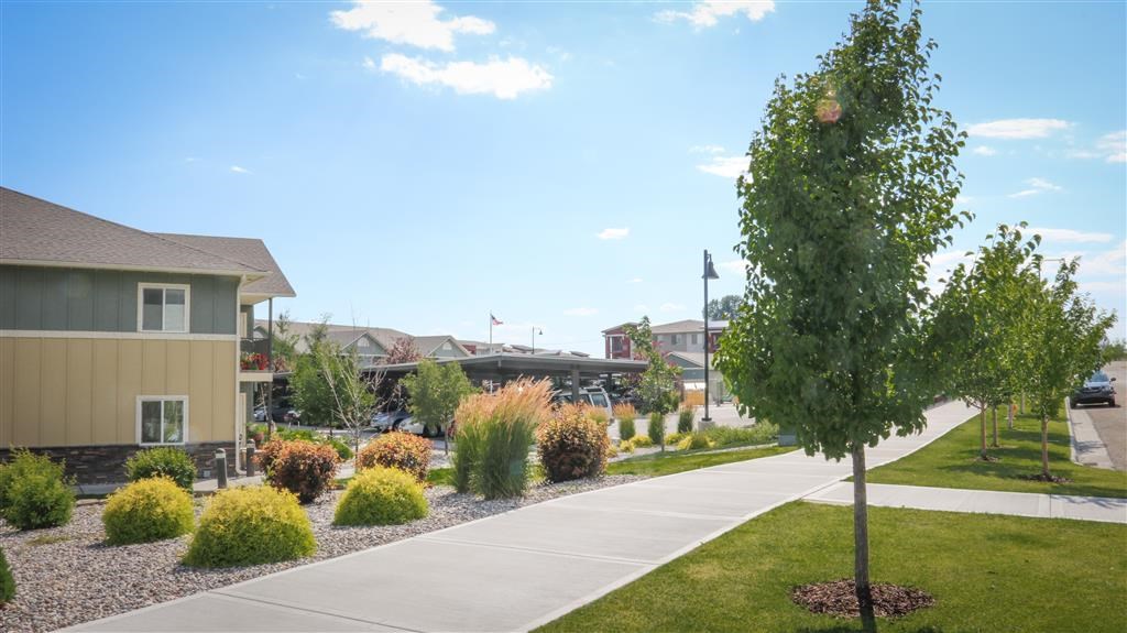 a street with houses and a tree and a sidewalk