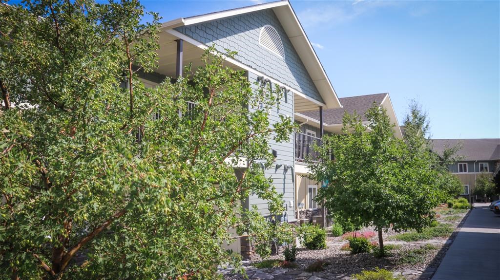 a building with trees and a street in front of it