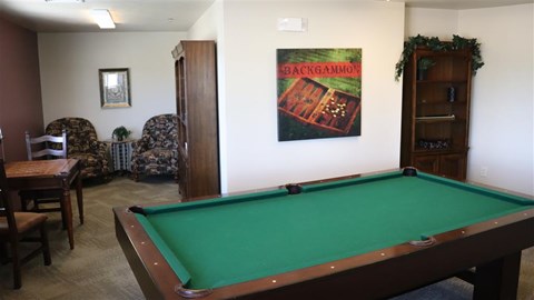 a living room with a pool table