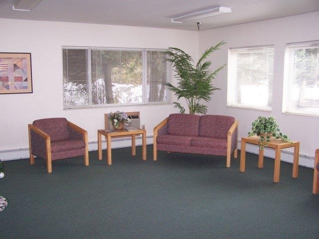 a living room with couches and chairs and a plant