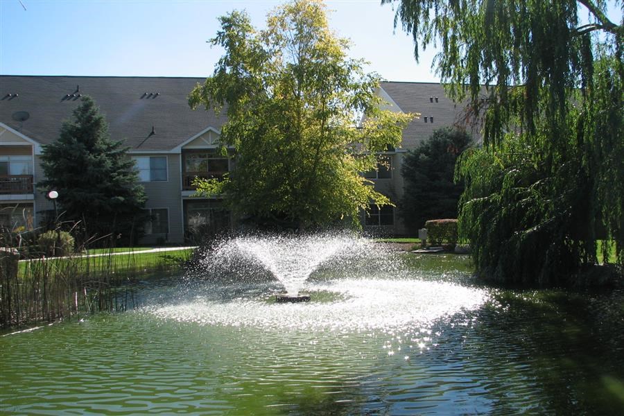 a fountain in a pond in front of a building