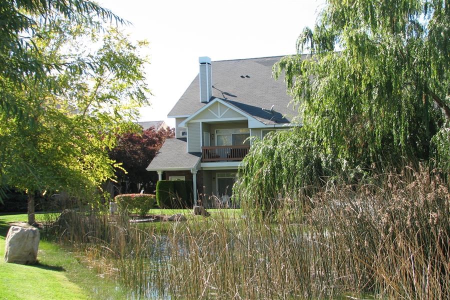 a house with a pond and trees in front of it