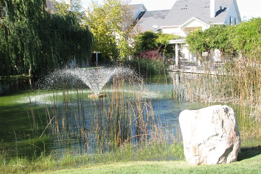 a fountain in a pond in front of a house