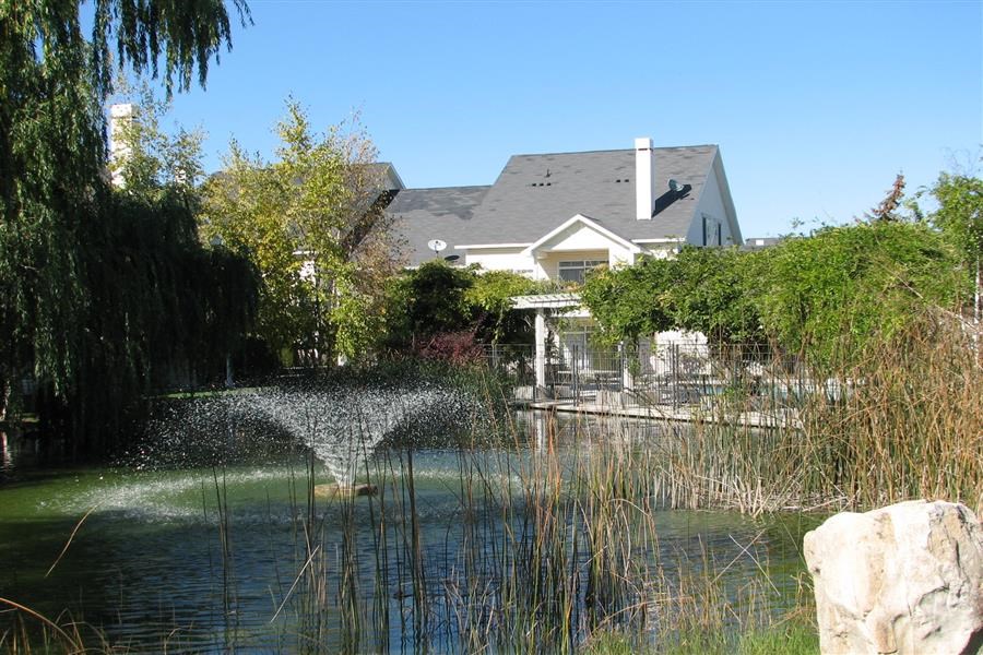 a pond with a house in the background
