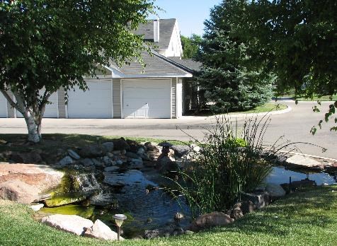 a small pond in the front yard of a house