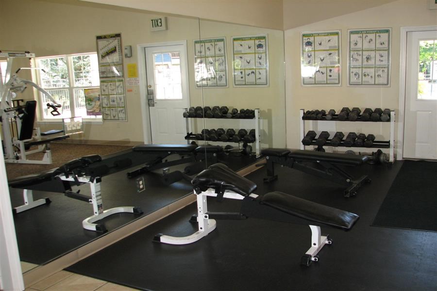 a gym with weights and a mirror in it