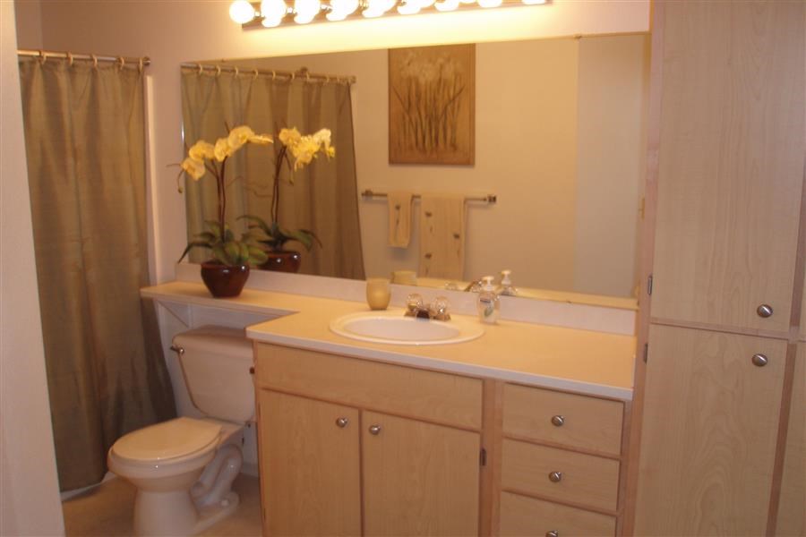 a bathroom with a sink and a toilet
