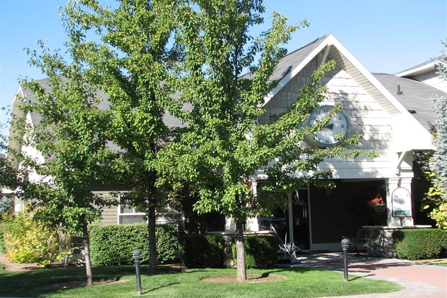 a white house with trees in front of it