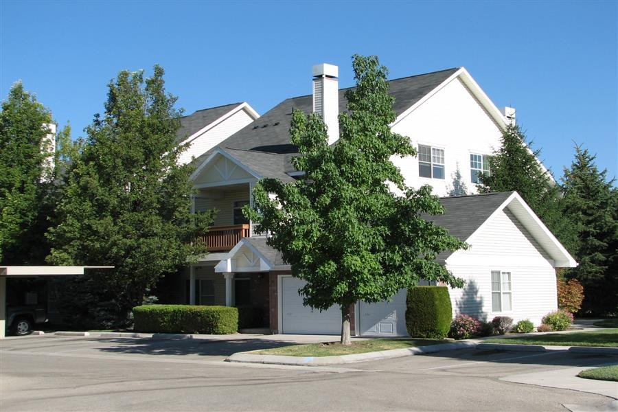 a white house with a tree in front of it