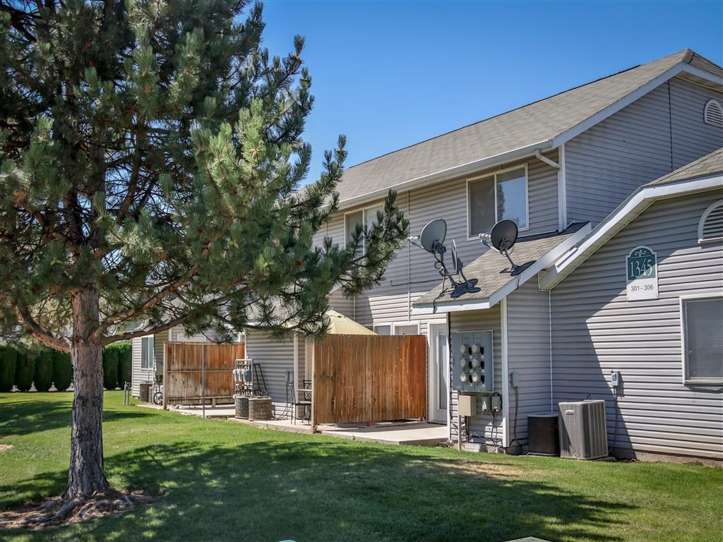 the backyard of a house with a yard and a tree