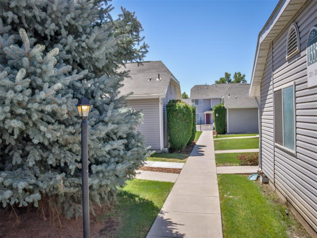a sidewalk between two houses and a tree