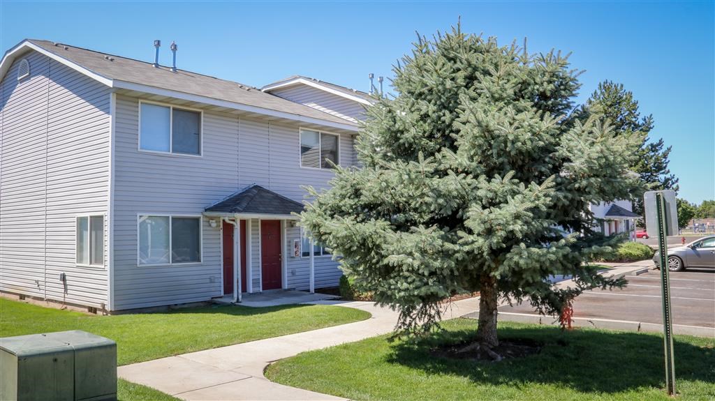 a white house with a tree in front of it