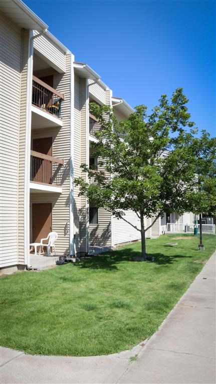 an apartment building with a tree in the grass