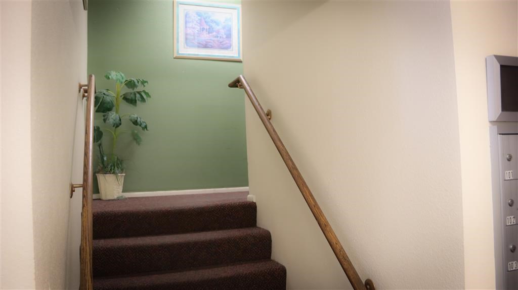 a stairwell with a plant and a window above it