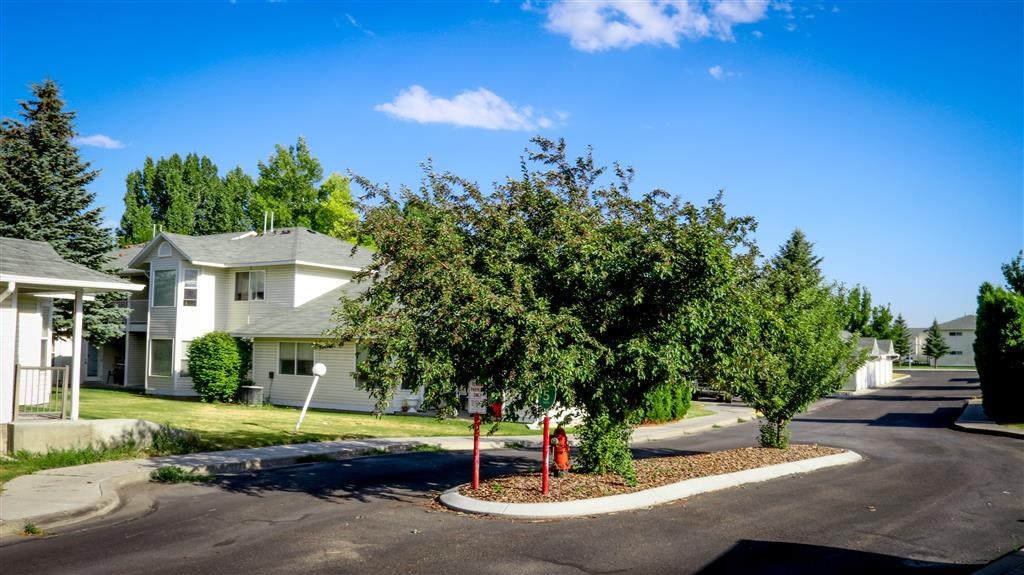 a red fire hydrant sitting in the middle of a street