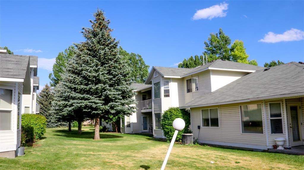 a yard in front of some houses