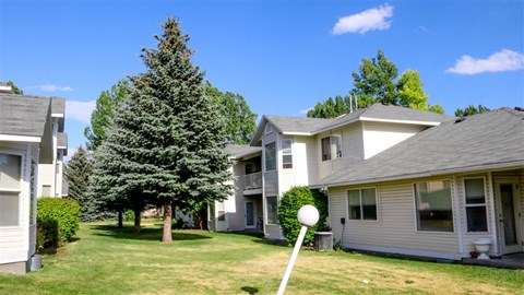 a yard in front of some houses