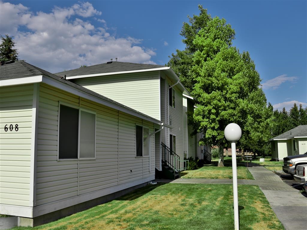 a white and green house with a yard and a tree