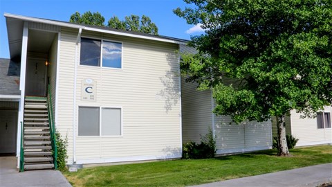 a white building with a tree in front of it
